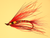 Liquid Lace - Stretch tubing (chironomids and ribbing)