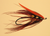 Liquid Lace - Stretch tubing (chironomids and ribbing)