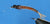 Liquid Lace - Stretch tubing (chironomids and ribbing)
