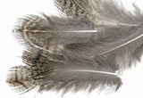 English Partridge Brown Back Hackle