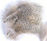 English Partridge Grey Neck Hackle