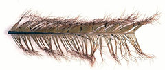 Cock Pheasant Knotted Tail on the quill